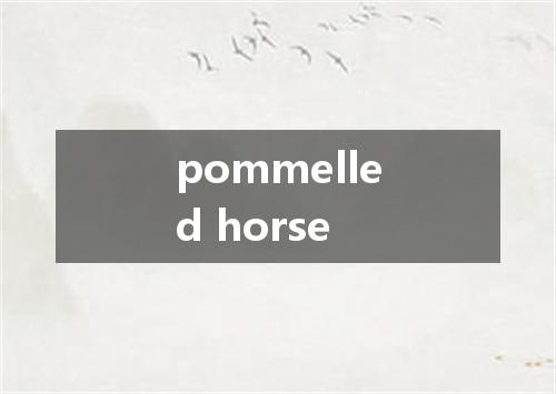 pommelled horse是什么意思