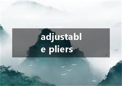 adjustable pliers是什么意思