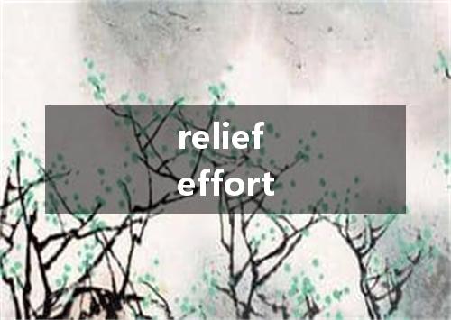 relief effort是什么意思