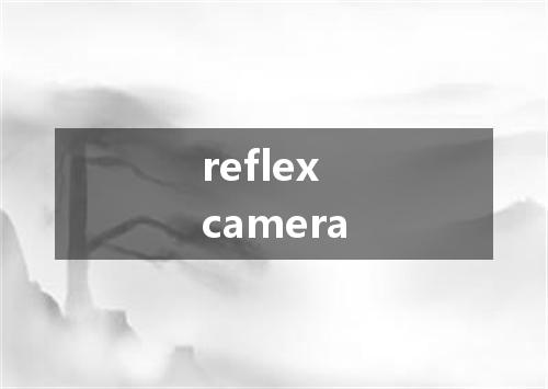 reflex camera是什么意思