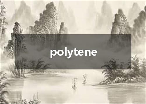 polytene是什么意思