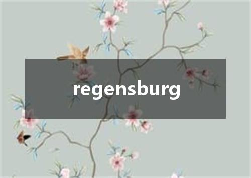 regensburg是什么意思
