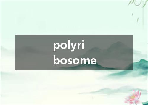 polyribosome是什么意思
