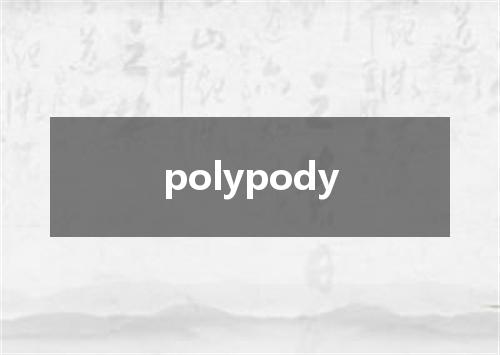 polypody是什么意思