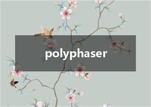 polyphaser是什么意思