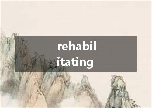 rehabilitating是什么意思