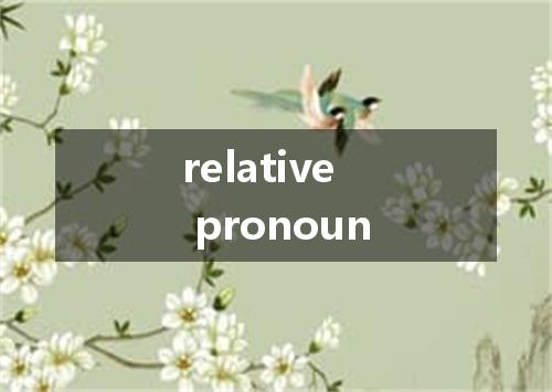 relative pronoun是什么意思