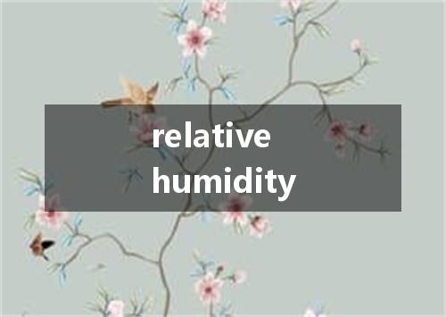 relative humidity是什么意思