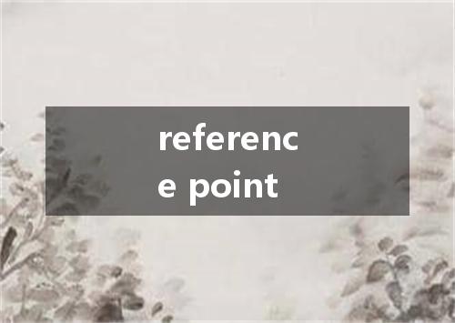 reference point是什么意思