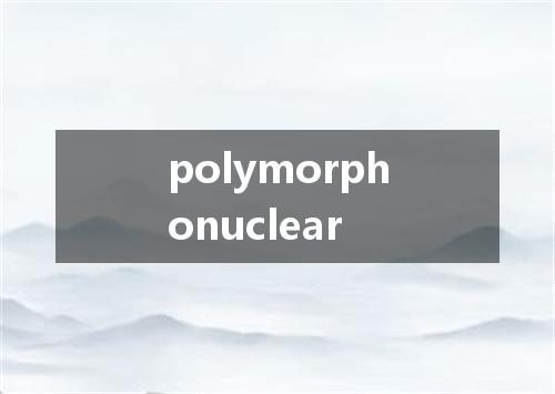 polymorphonuclear是什么意思