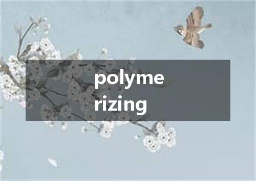 polymerizing是什么意思