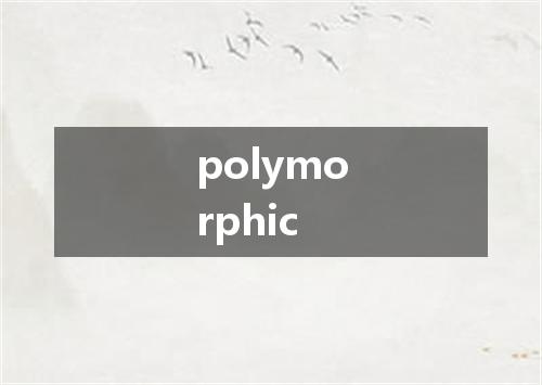 polymorphic是什么意思