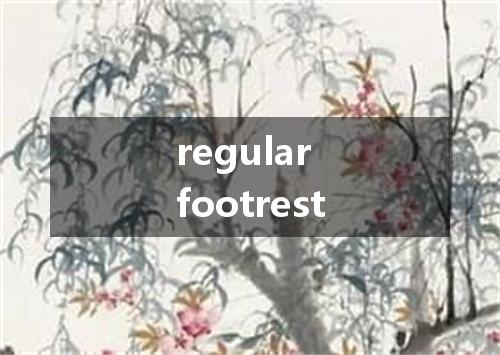 regular footrest是什么意思