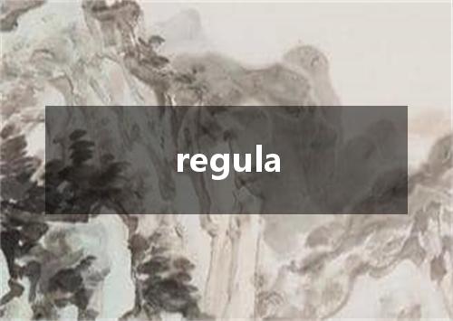 regula是什么意思