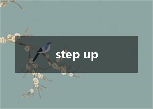 step up是什么意思