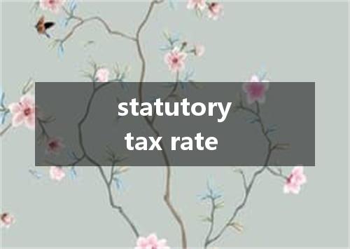 statutory tax rate是什么意思
