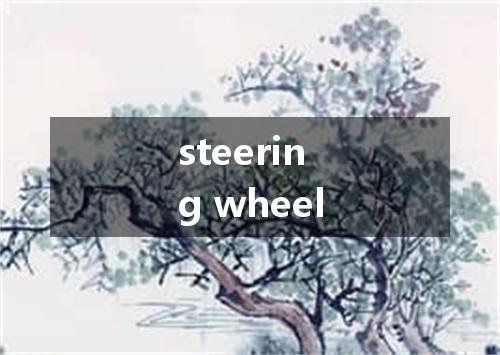 steering wheel是什么意思