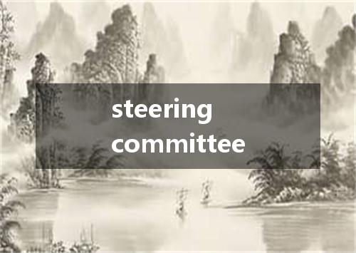 steering committee是什么意思