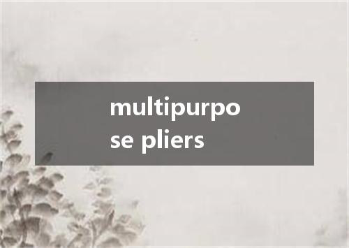 multipurpose pliers是什么意思