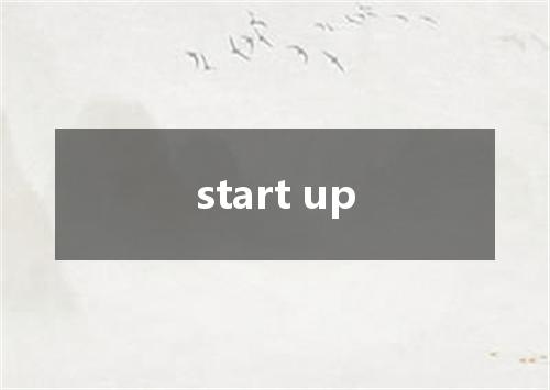 start up是什么意思