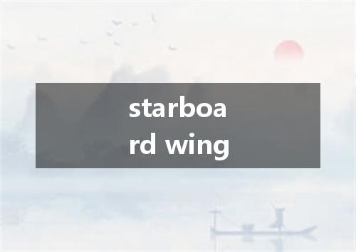 starboard wing是什么意思