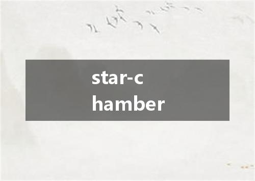 star-chamber是什么意思