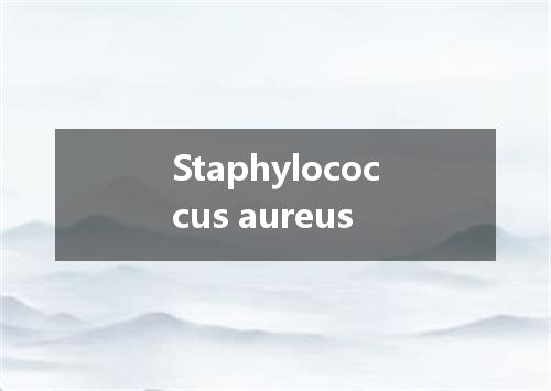 Staphylococcus aureus是什么意思