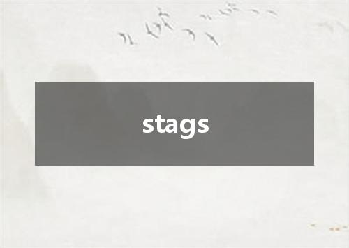 stags是什么意思
