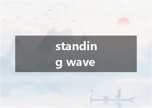 standing wave是什么意思