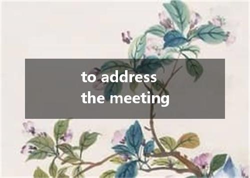 to address the meeting是什么意思