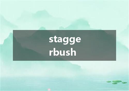 staggerbush是什么意思
