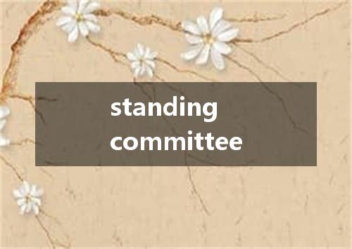 standing committee是什么意思