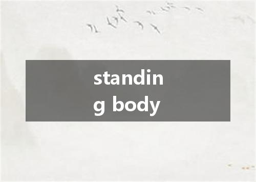 standing body是什么意思