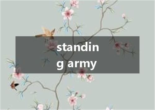 standing army是什么意思