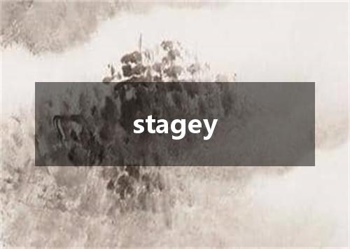 stagey是什么意思