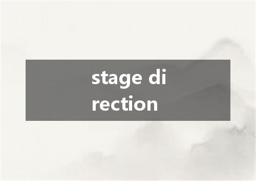 stage direction是什么意思