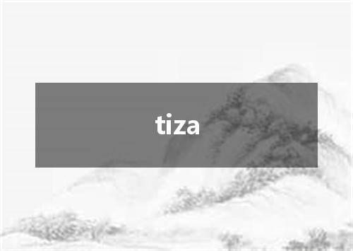 tiza是什么意思
