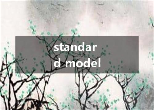 standard model是什么意思
