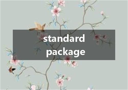 standard package是什么意思