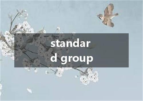standard group是什么意思
