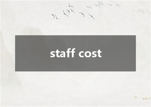 staff cost是什么意思