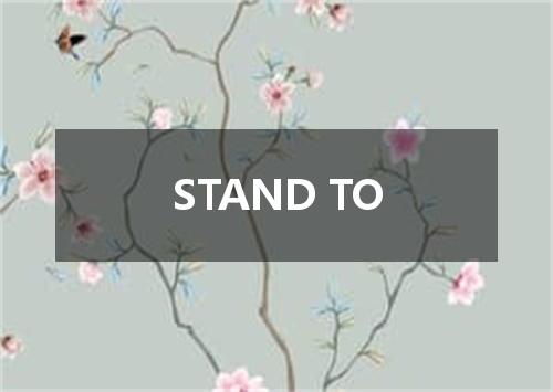 STAND TO是什么意思