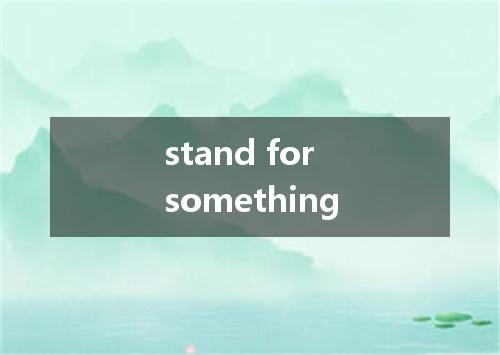 stand for something是什么意思