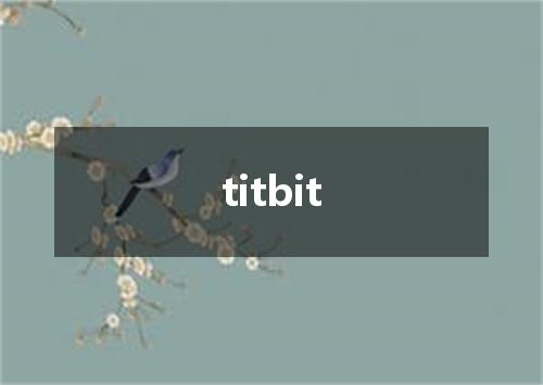 titbit是什么意思