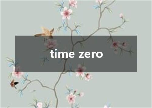 time zero是什么意思