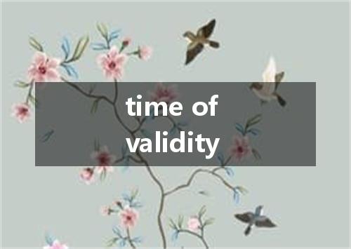 time of validity是什么意思