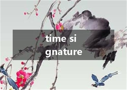 time signature是什么意思