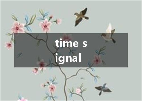 time signal是什么意思