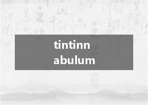 tintinnabulum是什么意思