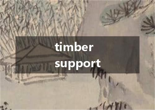 timber support是什么意思